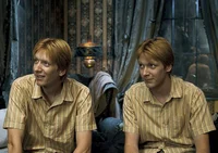 Weasley Twins