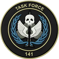 Task Force 141