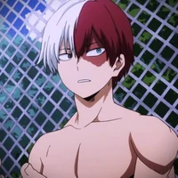 Todoroki shoto -ita