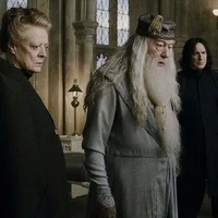 Hogwarts Professors
