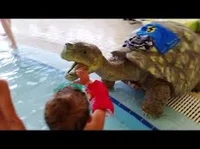 Kids playing in wate