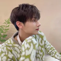SVT - Junhui