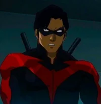 INSANITY Nightwing