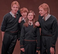 The Weasley family
