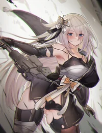 A2 