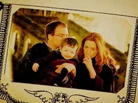 Potter family 