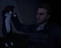 Makarov-Cat Problem