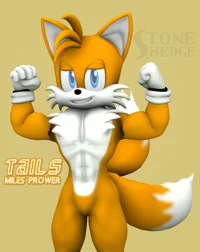 Tails The Fox