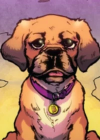 Buster IDW