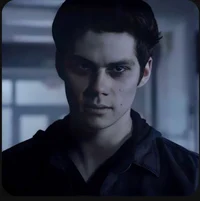 Void Stiles