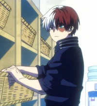 Shoto todoroki