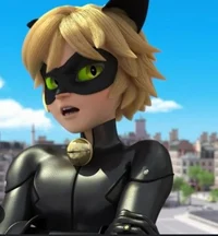 Cat noir