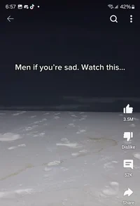 Y M C A