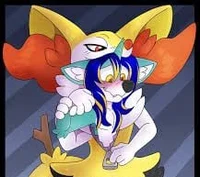 braixen de furrswet 