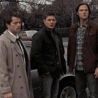 Team Free Will