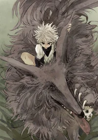 Los siguen desde año