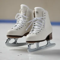 Figure skate Coach 
