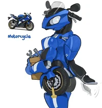Motorcycle