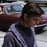 Ponyboy Curtis 
