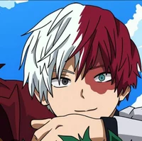 Shoto Todoroki 