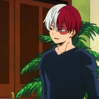Shoto Todoroki