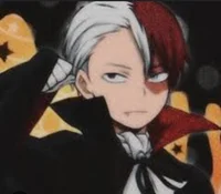 Shoto Todoroki 