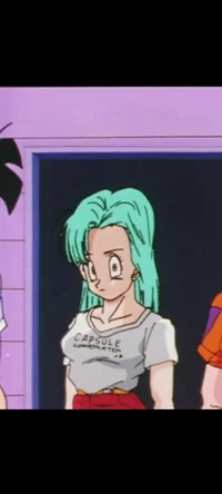 Bulma Brief