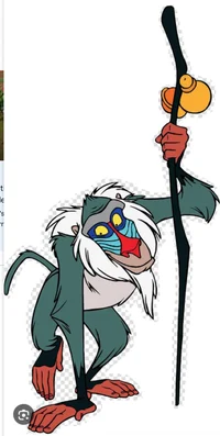Rafiki 