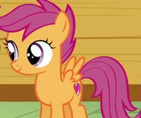 -Scootaloo-