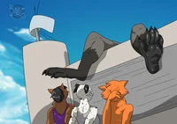 Smelly raccoon feet 