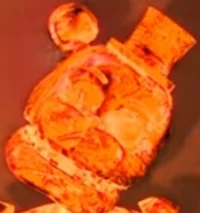 Schorching og freddy