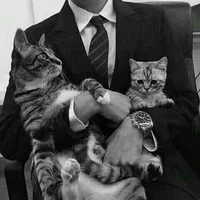 Albert Mafia