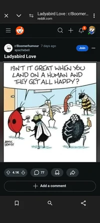 Bug Team