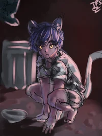 Stray nekos life