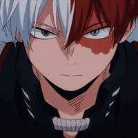 Shoto Todoroki 