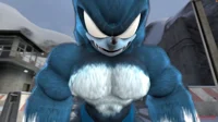 Sonic The Werehog