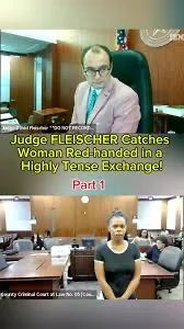 Judge fleischer