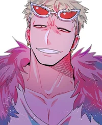 Doflamingo DonQuixot