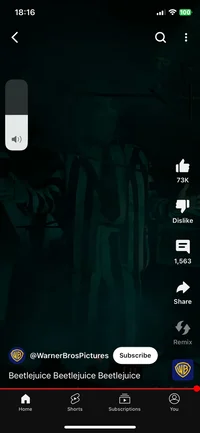 BEETLEJUICE 