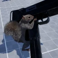 Squirrel with a Gun