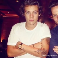 Harry Styles 
