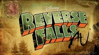 Reverse Falls