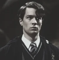 tom riddle