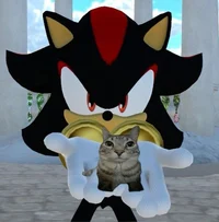 Shadow the hedgehog 