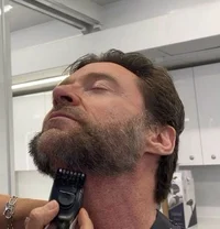 Wolverine