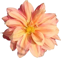 - 05 0 MISCELLANEOUS