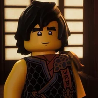 Cole Bucket Ninjago