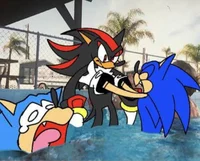 Sonic and the pool