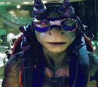 Donatello Bayverse