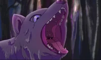 Wolf vore